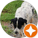 Ciaran Mcaloran profile picture